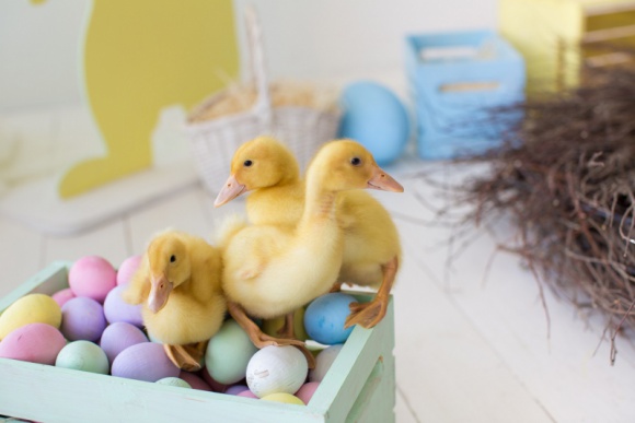 Wielkanoc w nowoczesnym stylu, czyli jak przygotować nieco lżejsze święta bez wy